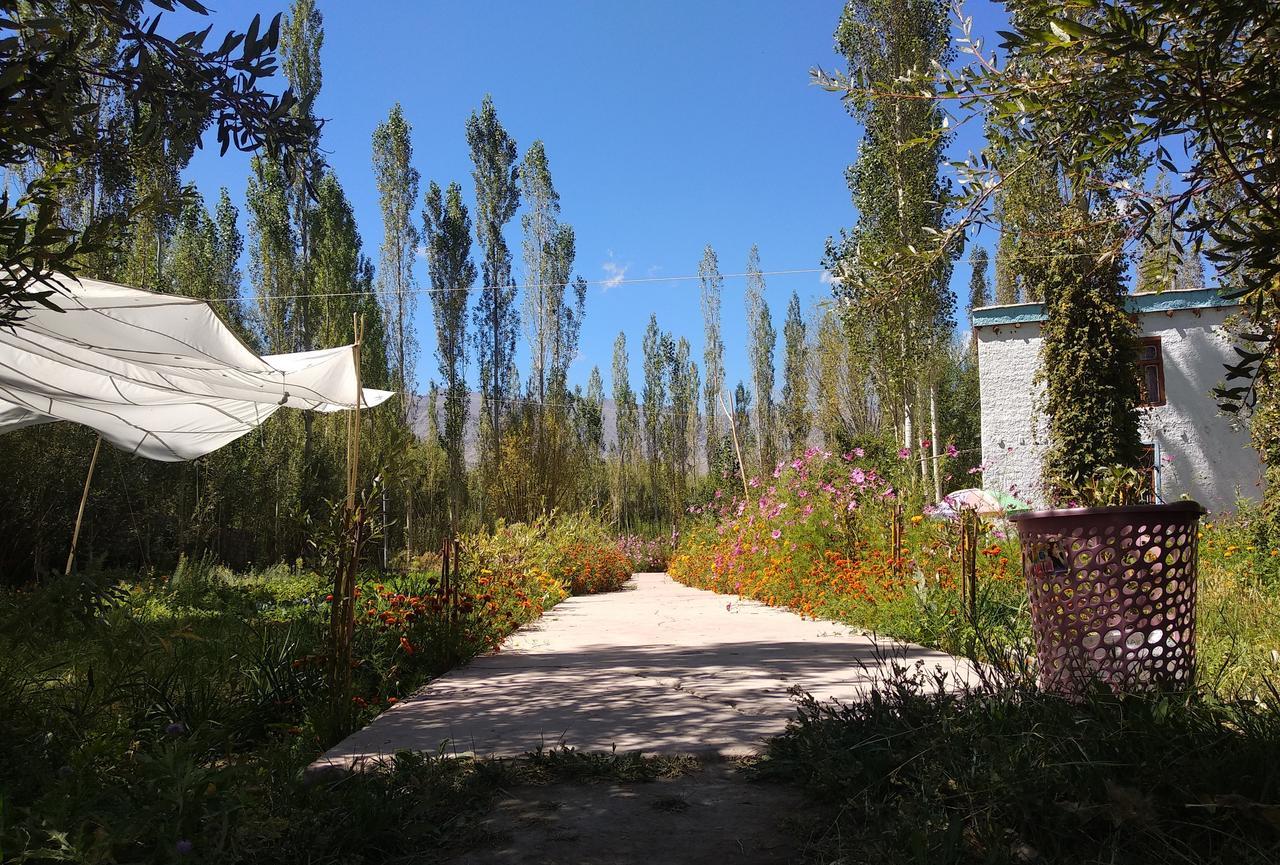 Amir Homestay Leh Exteriör bild