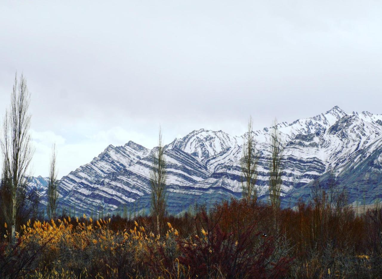 Amir Homestay Leh Exteriör bild