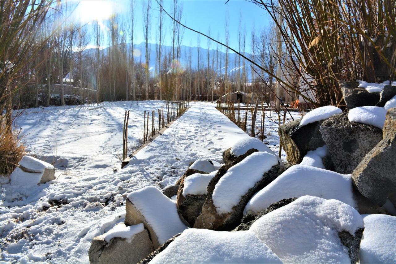 Amir Homestay Leh Exteriör bild